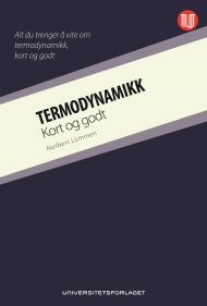 Termodynamikk - kort og godt