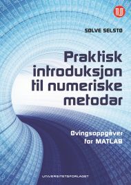 Praktisk introduksjon til numeriske metodar